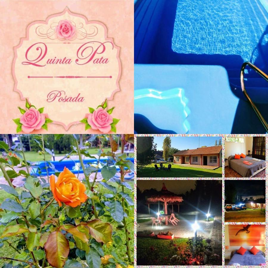 Posada Quinta Pata Ezeiza Exterior foto